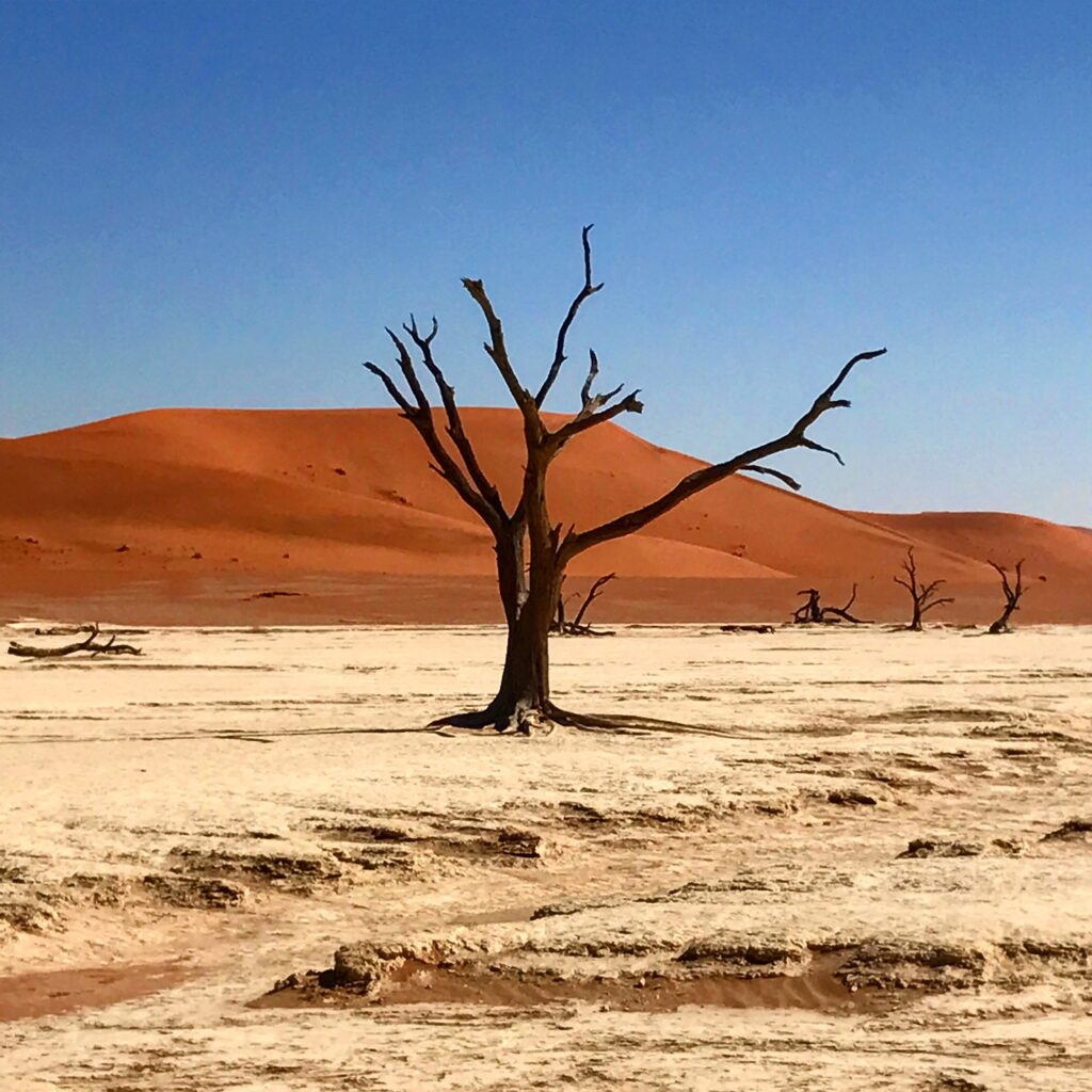 Namib Desert Deadvlei