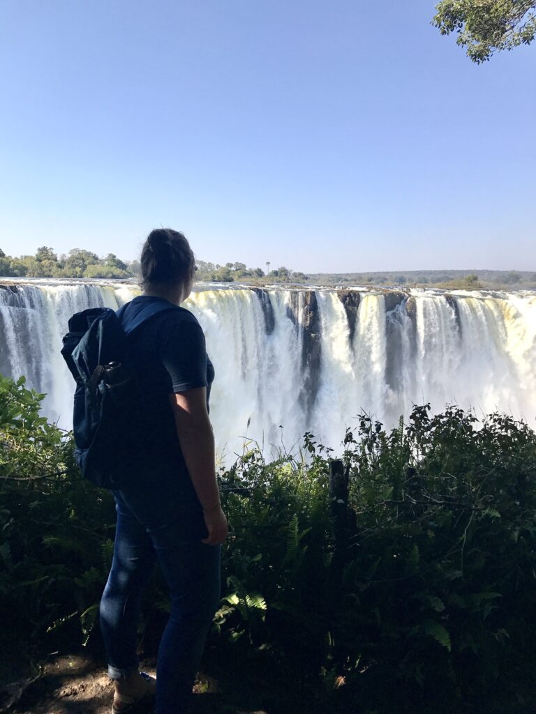 Victoria Falls